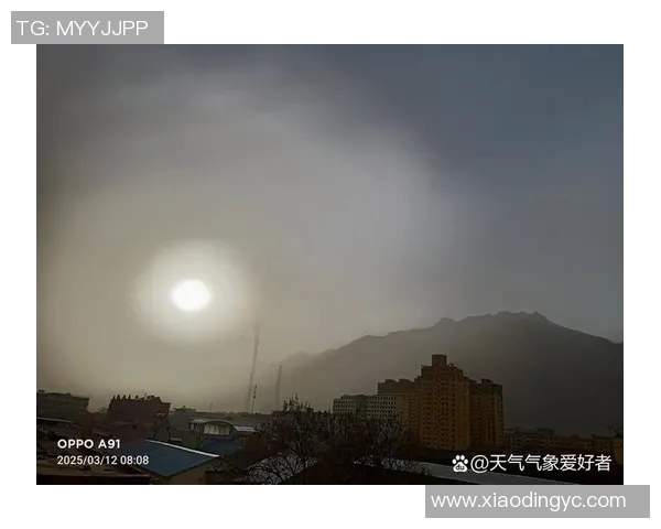 太阳评分出炉：是高光还是低迷？